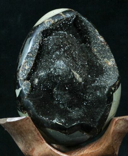 Septarian Dragon Egg Geode - Black Calcite Crystals #33982